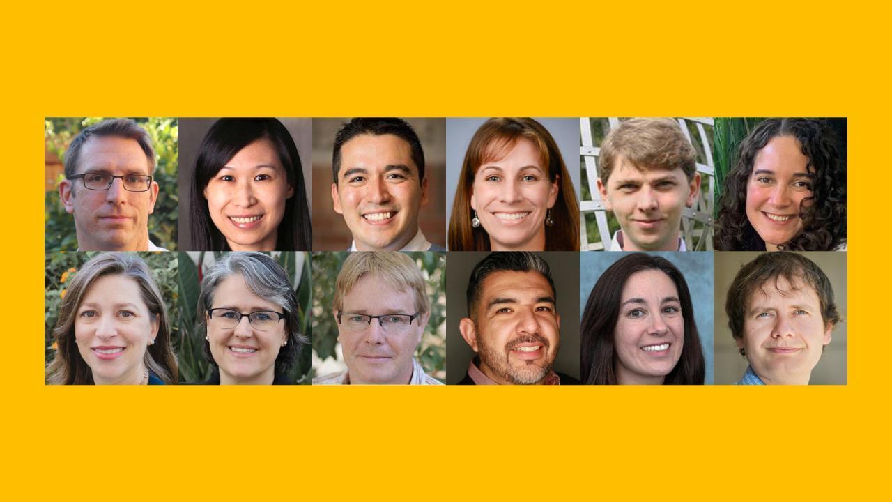 2021-22 UC Davis Chancellor's Fellows