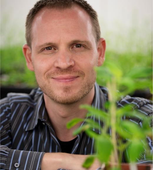 Philipp  Zerbe